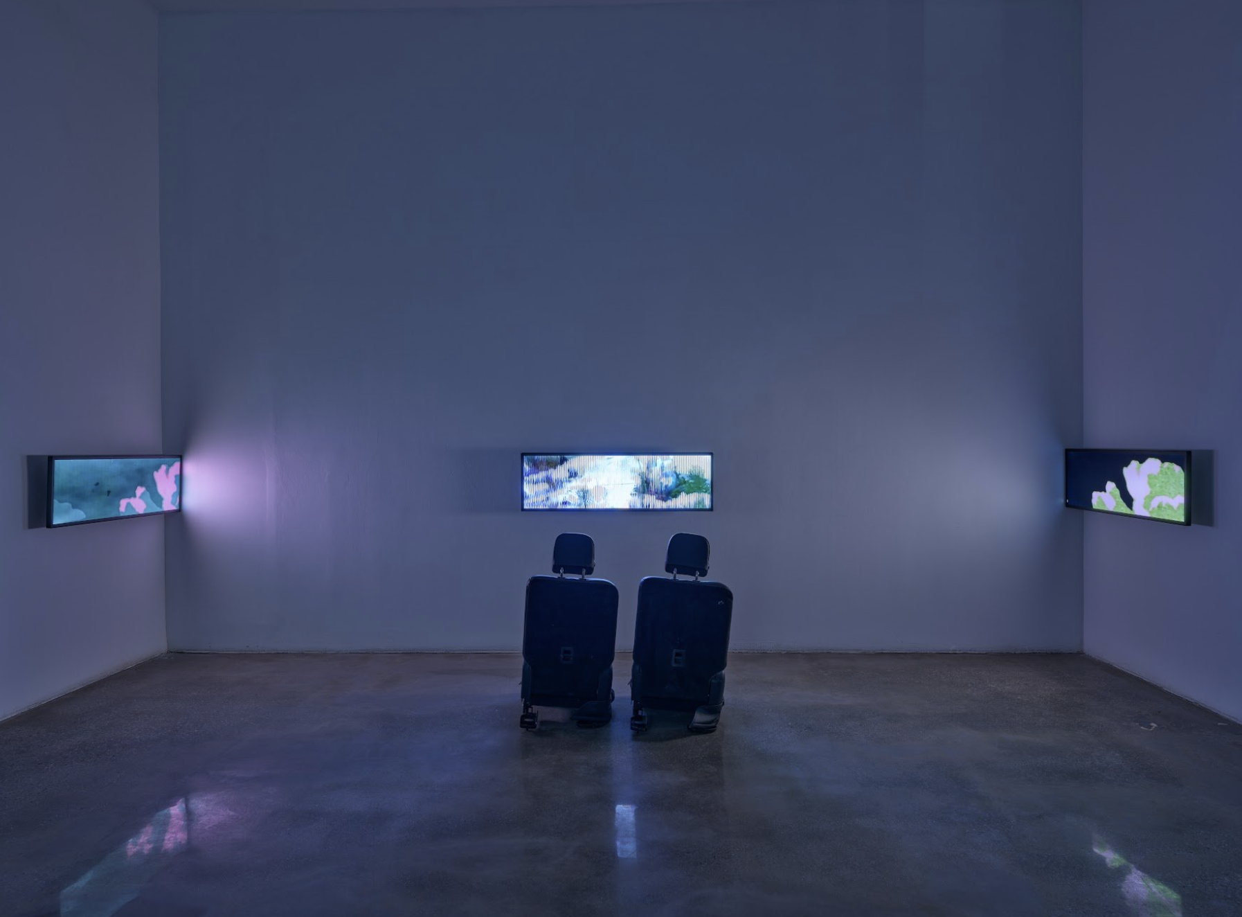 Installation view, Control, Anat Ebgi, Los Angeles, CA, 2024
