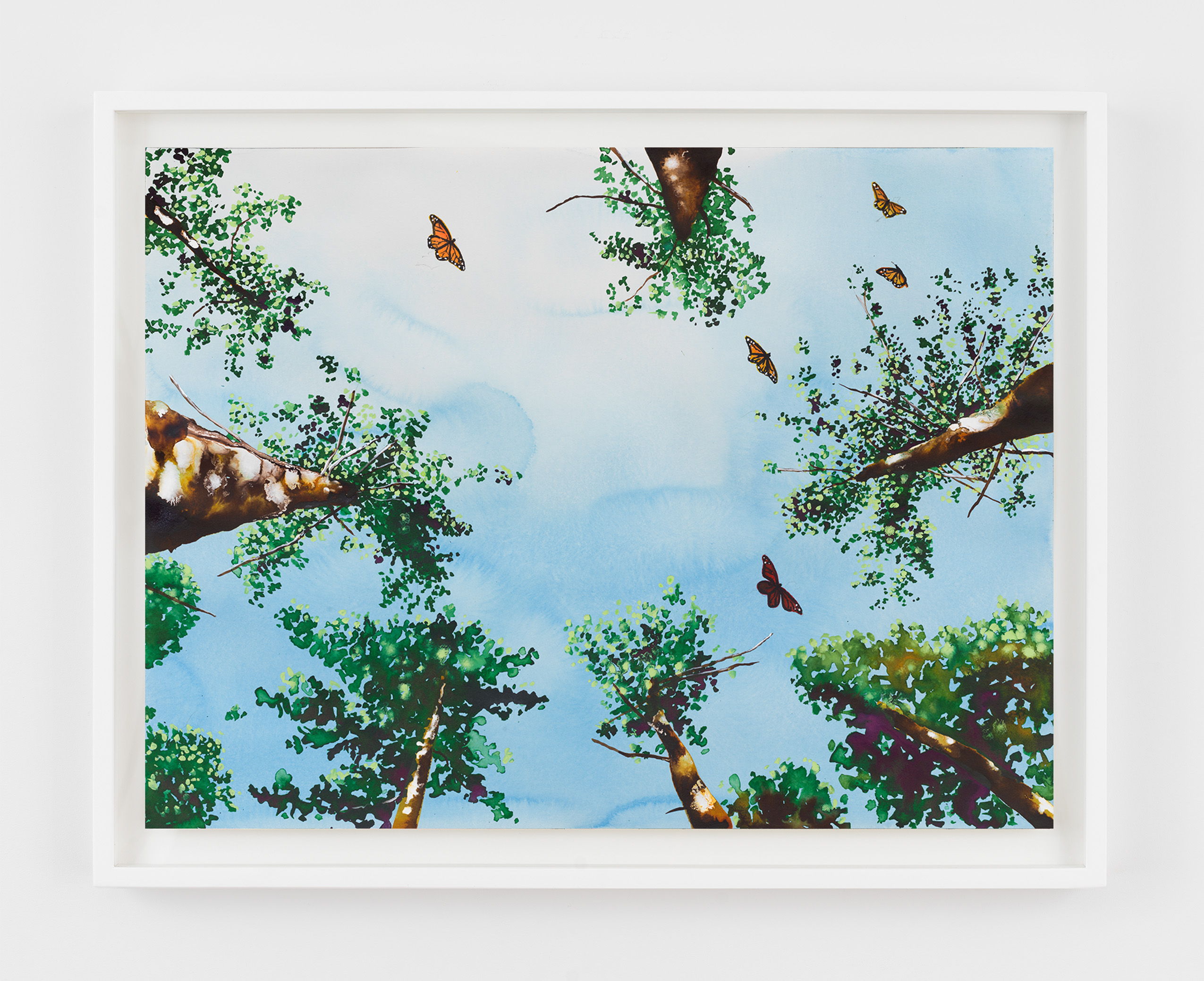 Alexis Rockman, Monarch Migration, 2022, Watercolor and acrylic on paper, 18 x 24 in.