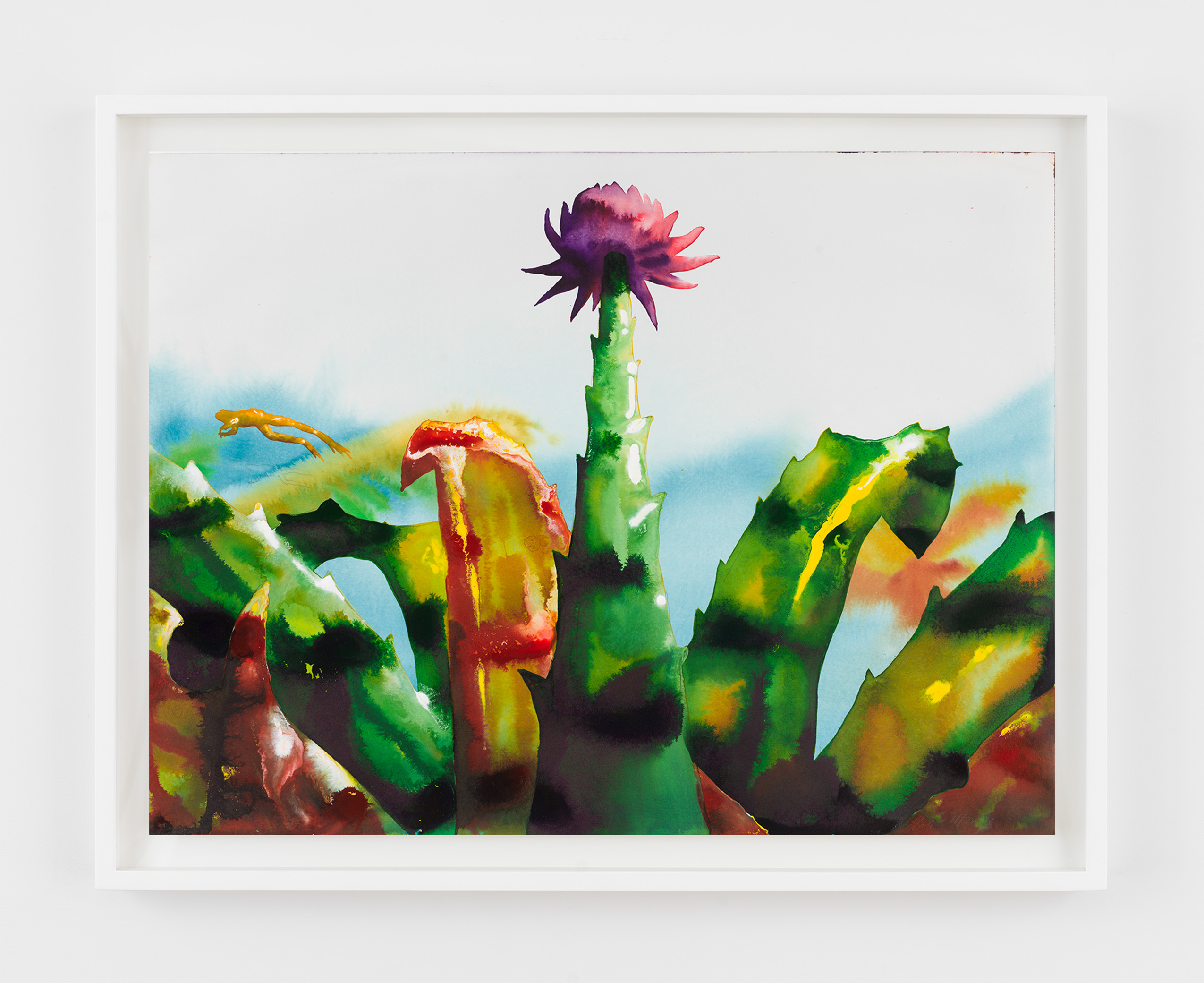 Alexis Rockman, Bromeliad, 2022, Watercolor and acrylic on paper, 18 x 24 in.