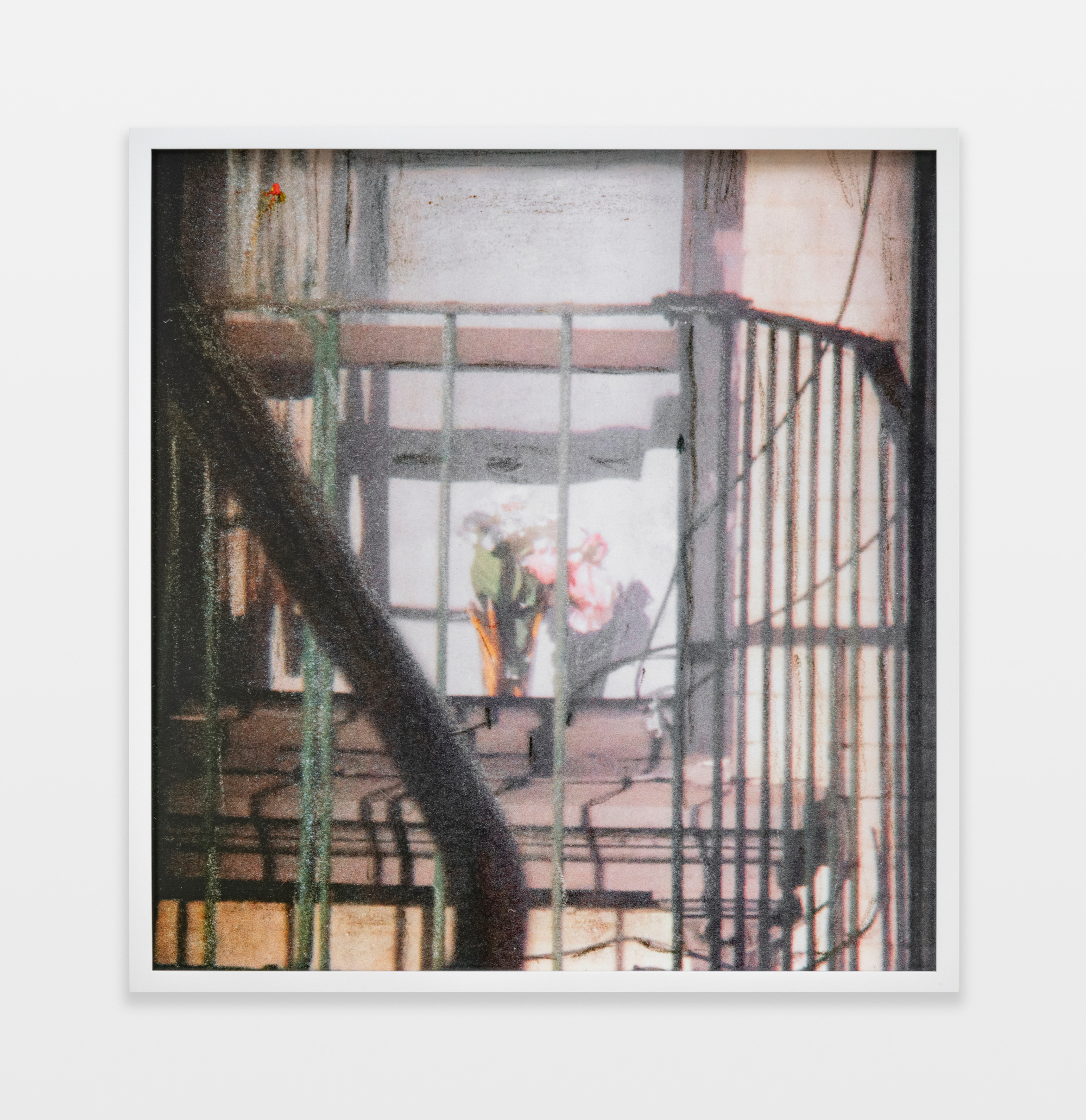 Barbara Ess, Fire Escape [Shut-In Series], 2018/2019, Archival pigment print, 23h x 22w in.