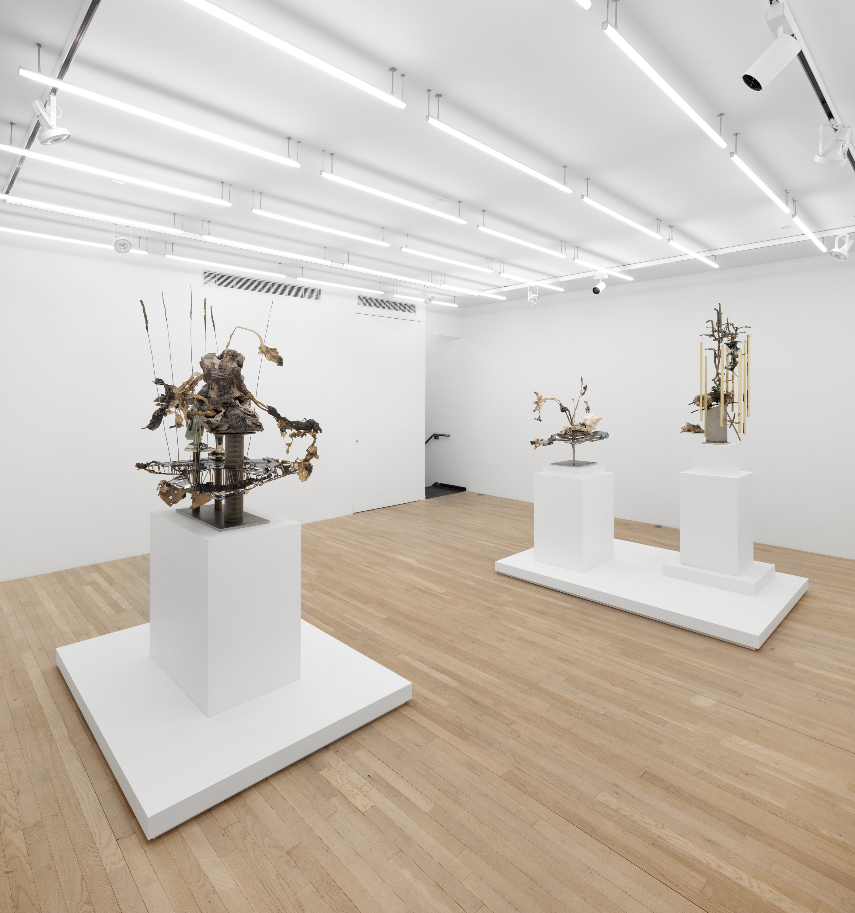 Installation view, Jon Kessler: Petrified, Magenta Plains, New York, NY, 2024