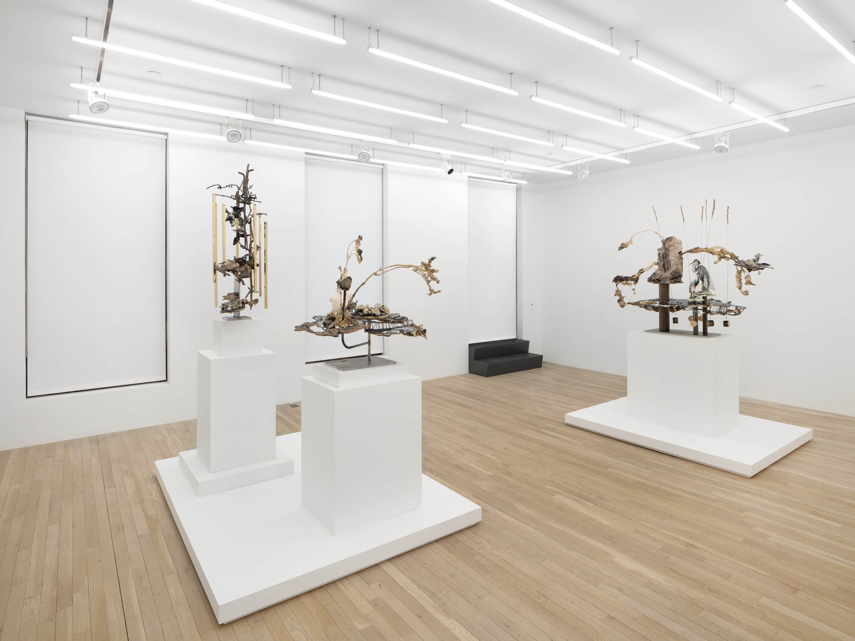 Installation view, Jon Kessler: Petrified, Magenta Plains, New York, NY, 2024