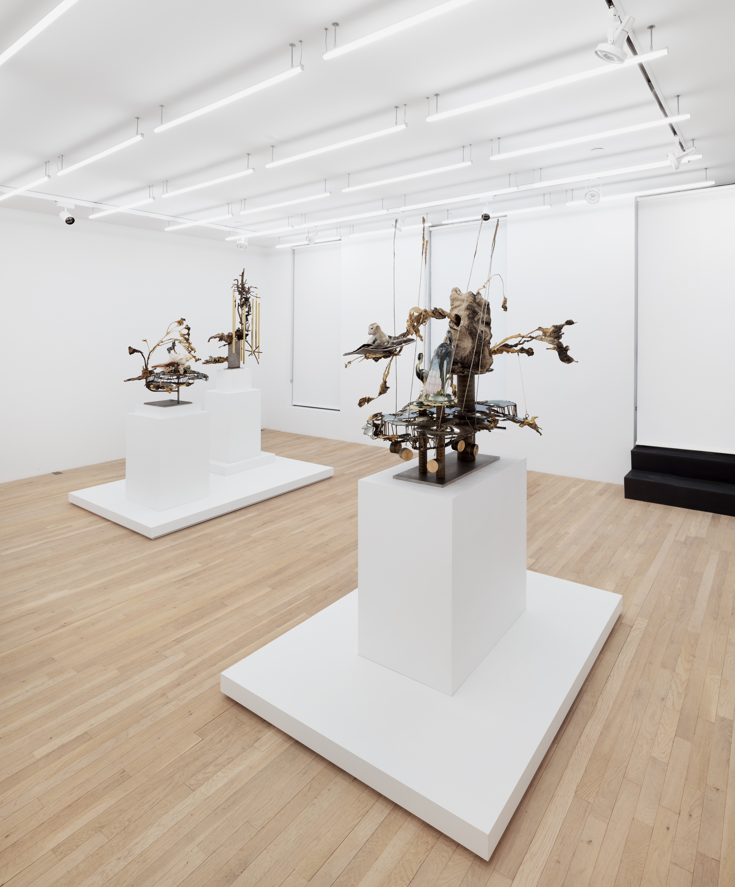 Installation view, Jon Kessler: Petrified, Magenta Plains, New York, NY, 2024