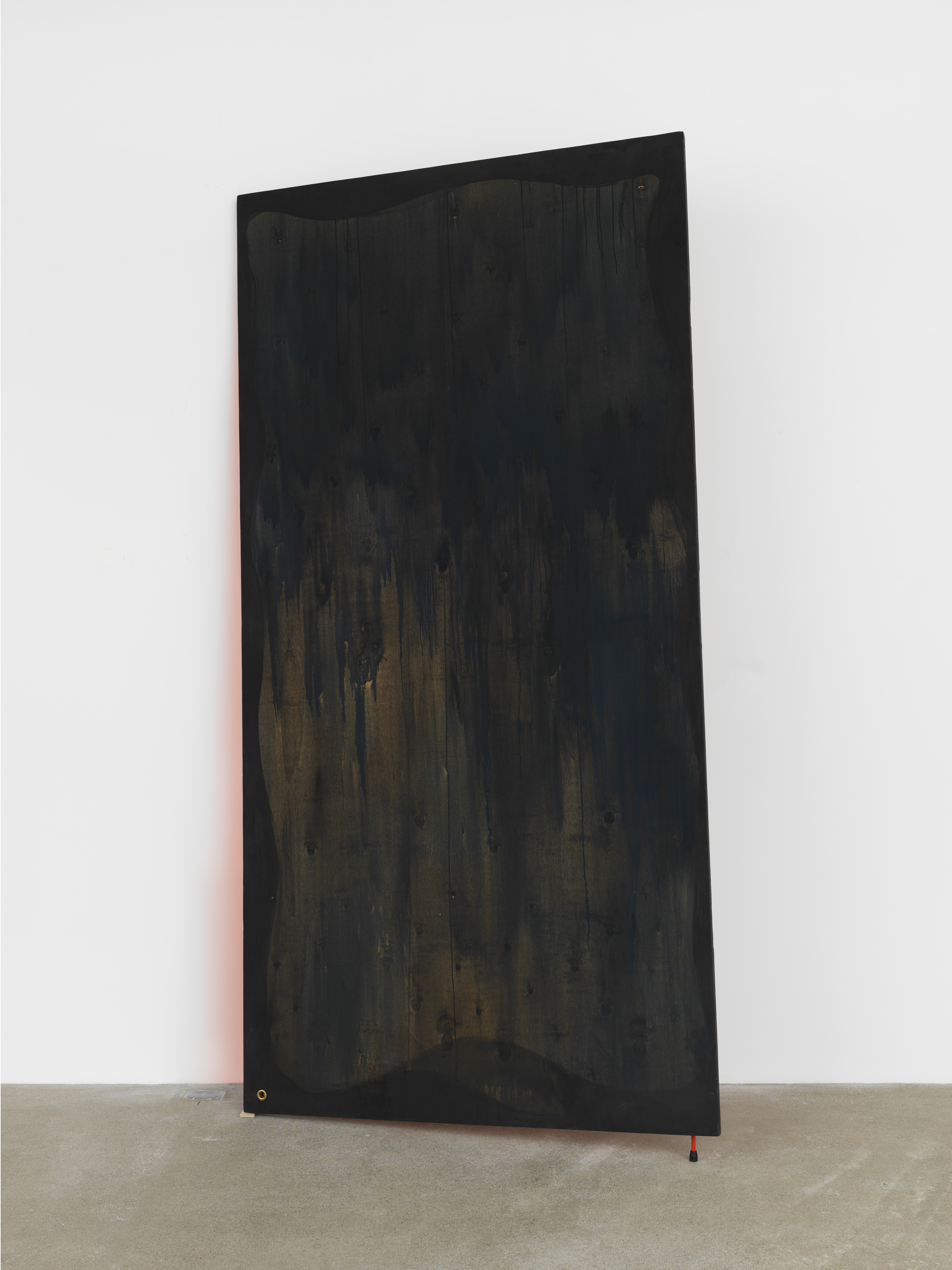 Moira Dryer, Big Mother, 1988, Casein on wood, grommet, rubber stopper
99 x 48 in.