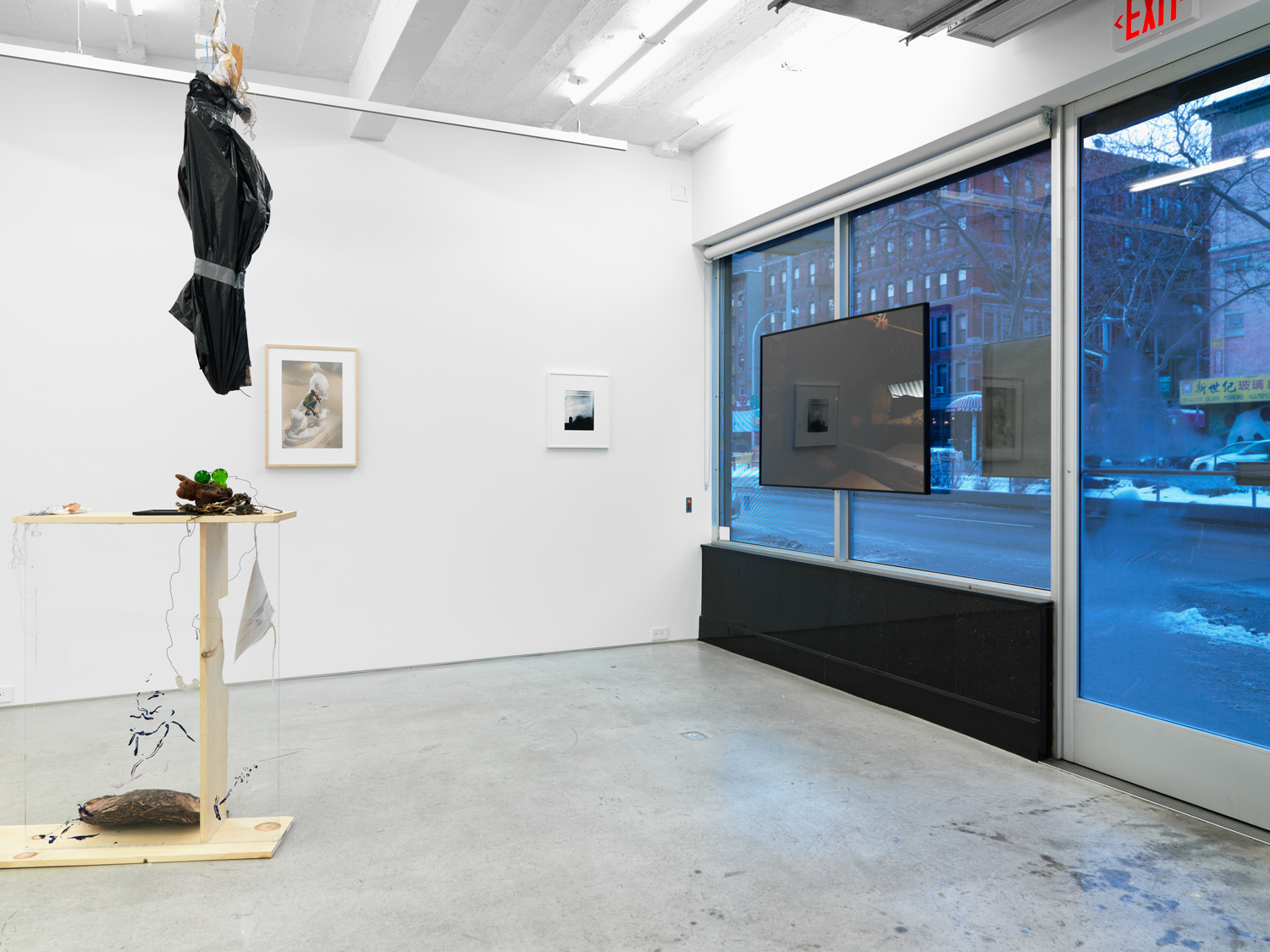 Magenta Plains The Garden of Forking Paths