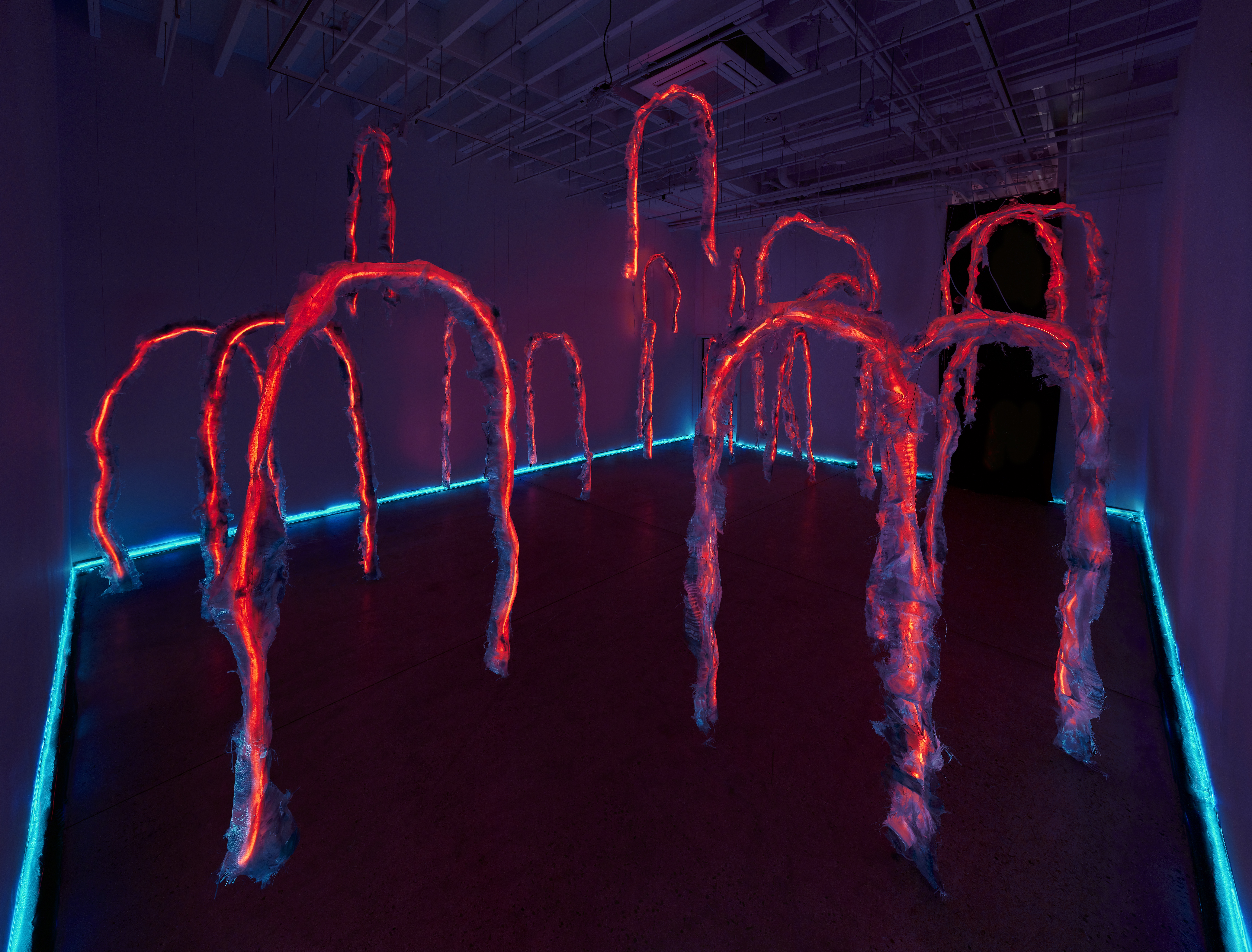 Installation view, Tiril Hasselknippe: Hyperstate, Magenta Plains, New York, NY 2024.