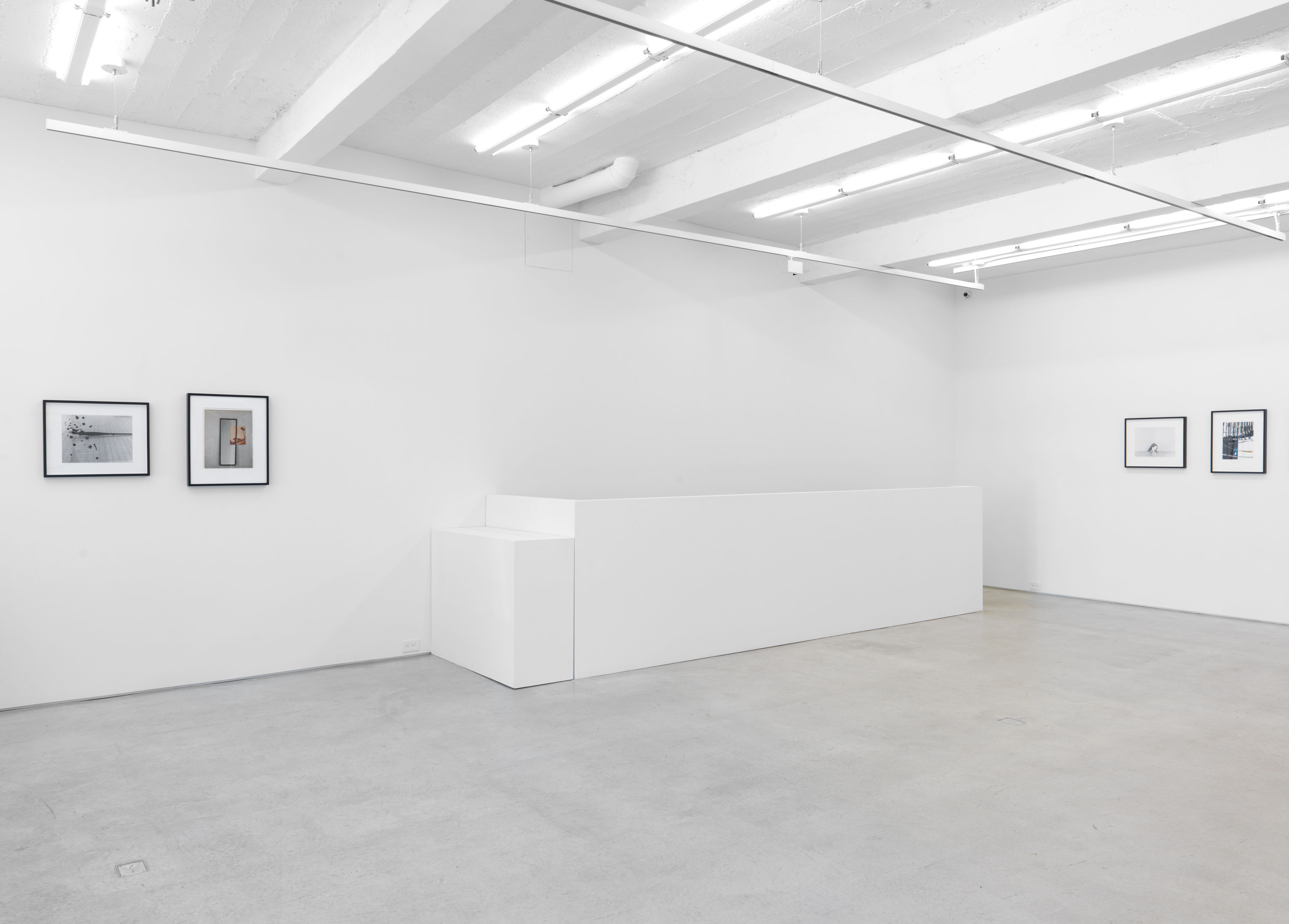 Installation view, William Wegman: Postcard Paintings, Magenta Plains, New York, NY, 2016